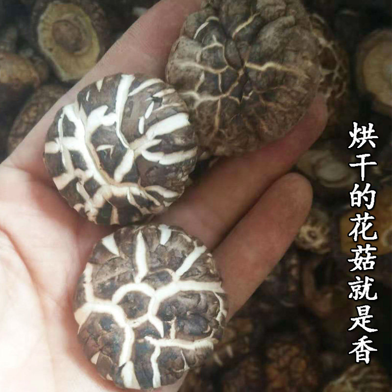 西峡香菇白花菇农家冬菇伏牛山南阳椴木菌菇自产双剪干货500g包邮,淘宝优惠券,粉丝福利购,淘宝优惠卷