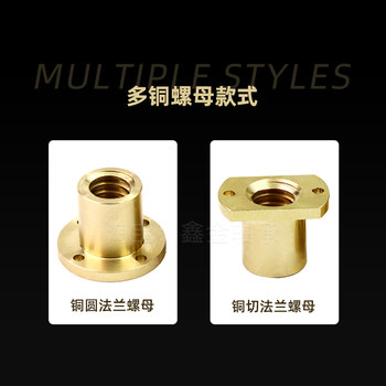 ສະກູ Trapezoidal double trimmed copper flange nut T10 12 14 16 18 20 22 24 25-T40