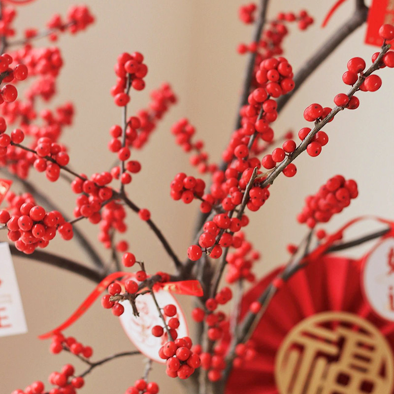北美冬青盆栽红果真花广东年宵花室内客厅办公室花卉开业送礼植物,淘宝优惠券,粉丝福利购,淘宝优惠卷
