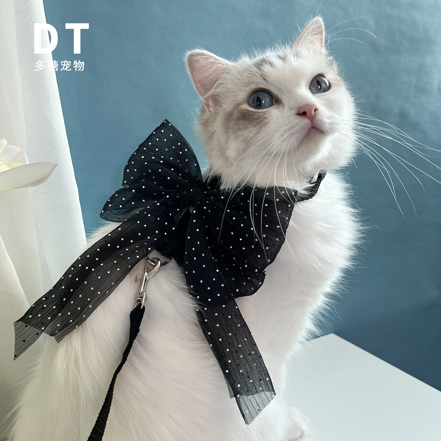 高颜值大蝴蝶结宠物防挣脱牵引绳小型犬工字型外出遛狗猫胸猫狗绳,淘宝优惠券,粉丝福利购,淘宝优惠卷