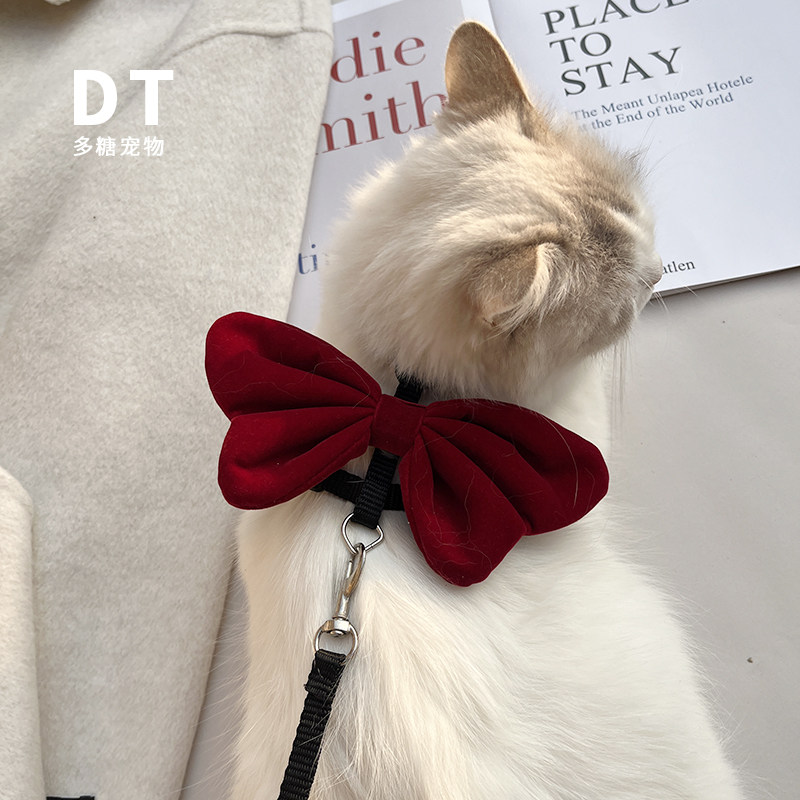 猫咪牵引绳高颜值小奶猫小型幼犬外出防走丢专用防挣脱遛猫溜狗绳,淘宝优惠券,粉丝福利购,淘宝优惠卷