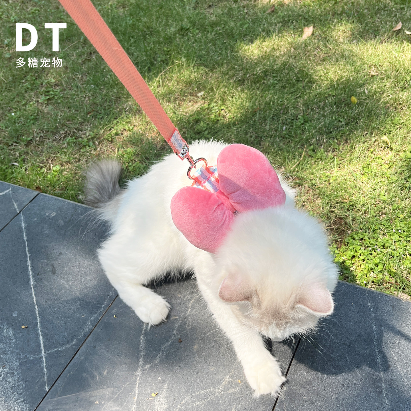 秋冬猫咪外出防挣脱牵引绳英短背心式遛猫绳猫链子小奶猫绳工字型,淘宝优惠券,粉丝福利购,淘宝优惠卷