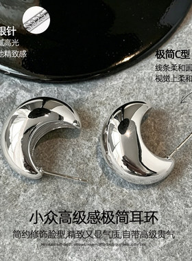 素圈耳环银针小众高级感耳钉新款巨好看独特设计气质轻奢简约耳饰