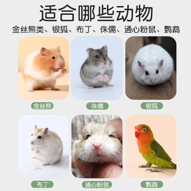 金丝熊仓鼠跑轮机超静音解闷自嗨玩具专用大号悬挂式造景用品大全,淘宝优惠券,粉丝福利购,淘宝优惠卷