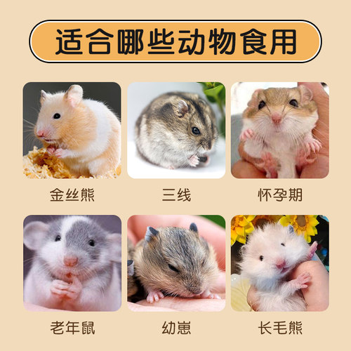 金丝熊小仓鼠粮食饲料专用营养主粮侏儒老年爱吃的五谷杂粮豪华版 - 图3