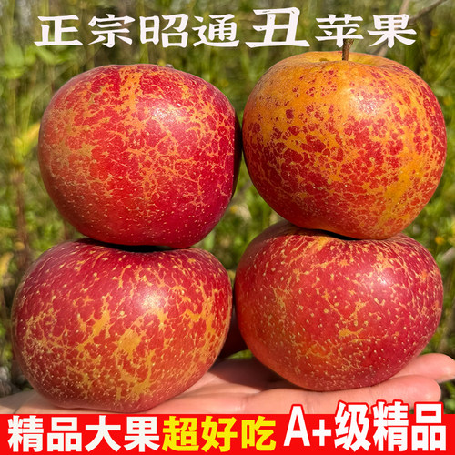 2025正宗云南昭通糖心丑苹果新鲜水果现摘当季整箱富士非大凉山 - 图1