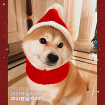 Small Red Hat Chaidog Puppy New Year Clothes New Year Clothes New Years clothing Internet Red Pet Dog Cokiefa Fight Shake