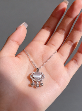 岁岁平安~温柔风长命锁项链女 小众设计感锁骨链 轻奢高级感颈链