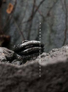 双头蛇设计师暗黑不规则宽版戒指