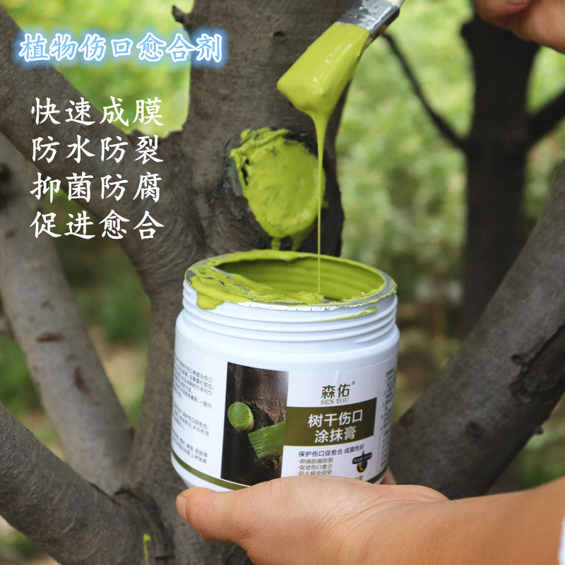 树木伤口愈合剂树干涂补剂盆景树皮涂膜剂果树嫁接切口修复涂抹膏,淘宝优惠券,粉丝福利购,淘宝优惠卷