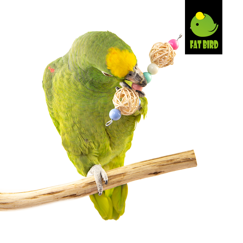 鹦鹉宠物鸟用品具手拿脚抓下脚磨嘴啃咬玩具虎皮牡丹玄凤Fatbird,淘宝优惠券,粉丝福利购,淘宝优惠卷