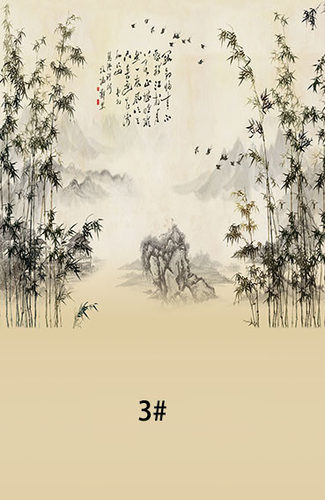 中国风工笔画拍照背景纸古装摄影复古中式全家福背景布芳华年代 - 图1