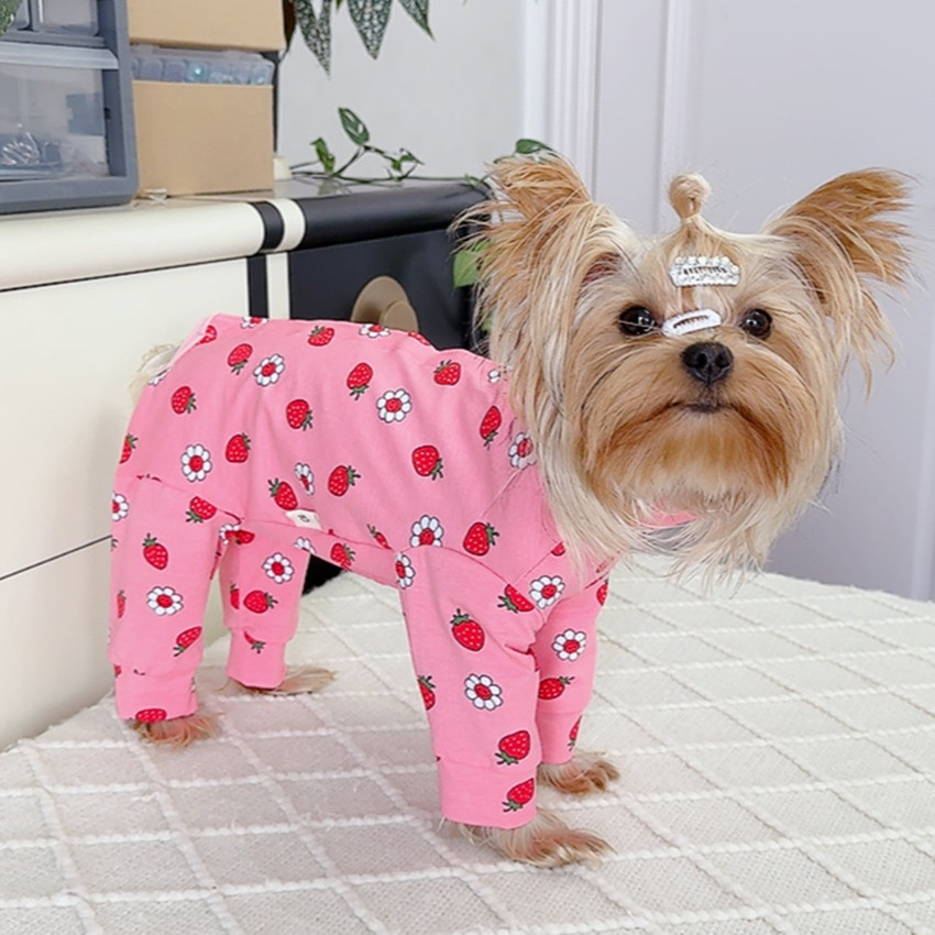 潮查利家宠物用品服饰泰迪比熊狗狗春秋薄款包肚四脚衣公母狗护肚,淘宝优惠券,粉丝福利购,淘宝优惠卷