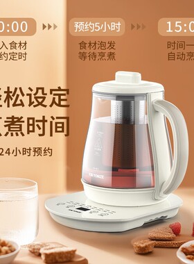 天际多功能养生壶家用小型