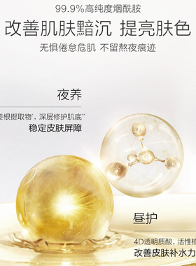 一叶子熬夜修护精华液