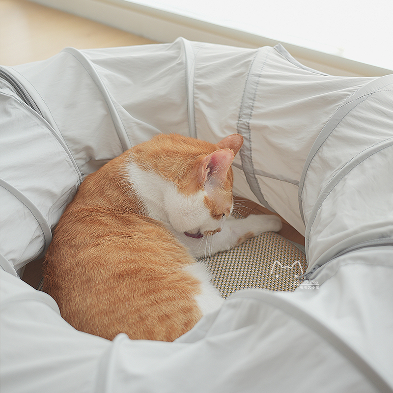 猫咪超长隧道躲避窝封闭式屋甜甜圈迷宫宠物钻洞丰容玩具四季通用,淘宝优惠券,粉丝福利购,淘宝优惠卷