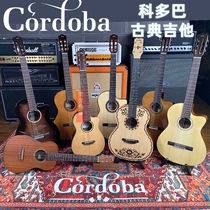(Rhine) Cordoba Cordoba classical C5 C5 C7 C9 Orchestra 39 inch Studio