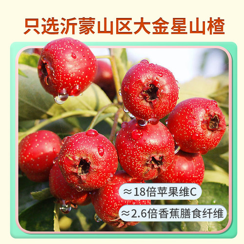 公社联盟山楂果丹皮山楂卷山楂片汉堡山楂条正宗无添加系列零食 - 图1