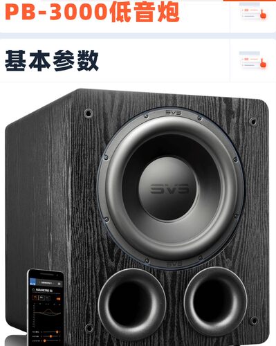 美国SVS ound定制系列SB3000有源超重低音炮PB3000家庭影院音箱 - 图0