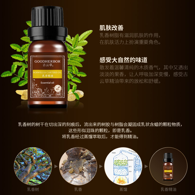 10ml 收紧毛孔紧致肌肤香薰芳疗包邮 淡化皱纹细纹 古云草乳香精油 10ml 收紧毛孔紧致肌肤香薰芳疗包邮 淡化皱纹细纹 古云草乳香精油