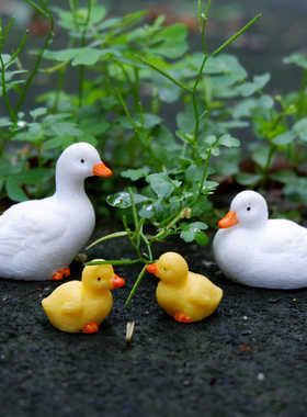 鸭子一家微景观装饰小摆件布置道具仿真小动物树脂假山戏水鸭子