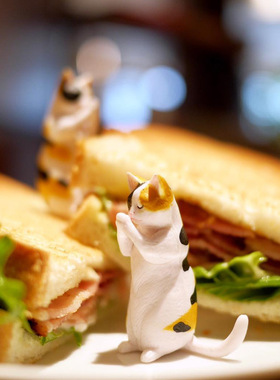 ins风水獭合掌祈福decole三花猫