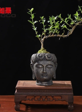 创意净土生香佛首树脂花盆佛头桌面装饰盆栽摆件中式古风园艺花器