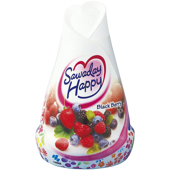 Japan's Kobayashi Pharmaceutical Air Freshener Solid Deodorant