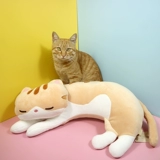 Детская успокаивающая подушка для друга, плюшевая игрушка, кот, подарок на день рождения