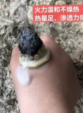 文文家三年陈1斤沂蒙山天然野生艾绒美容院家用督灸铺姜灸隔物灸