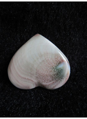 天然贝壳小巧精致艳丽风吊坠