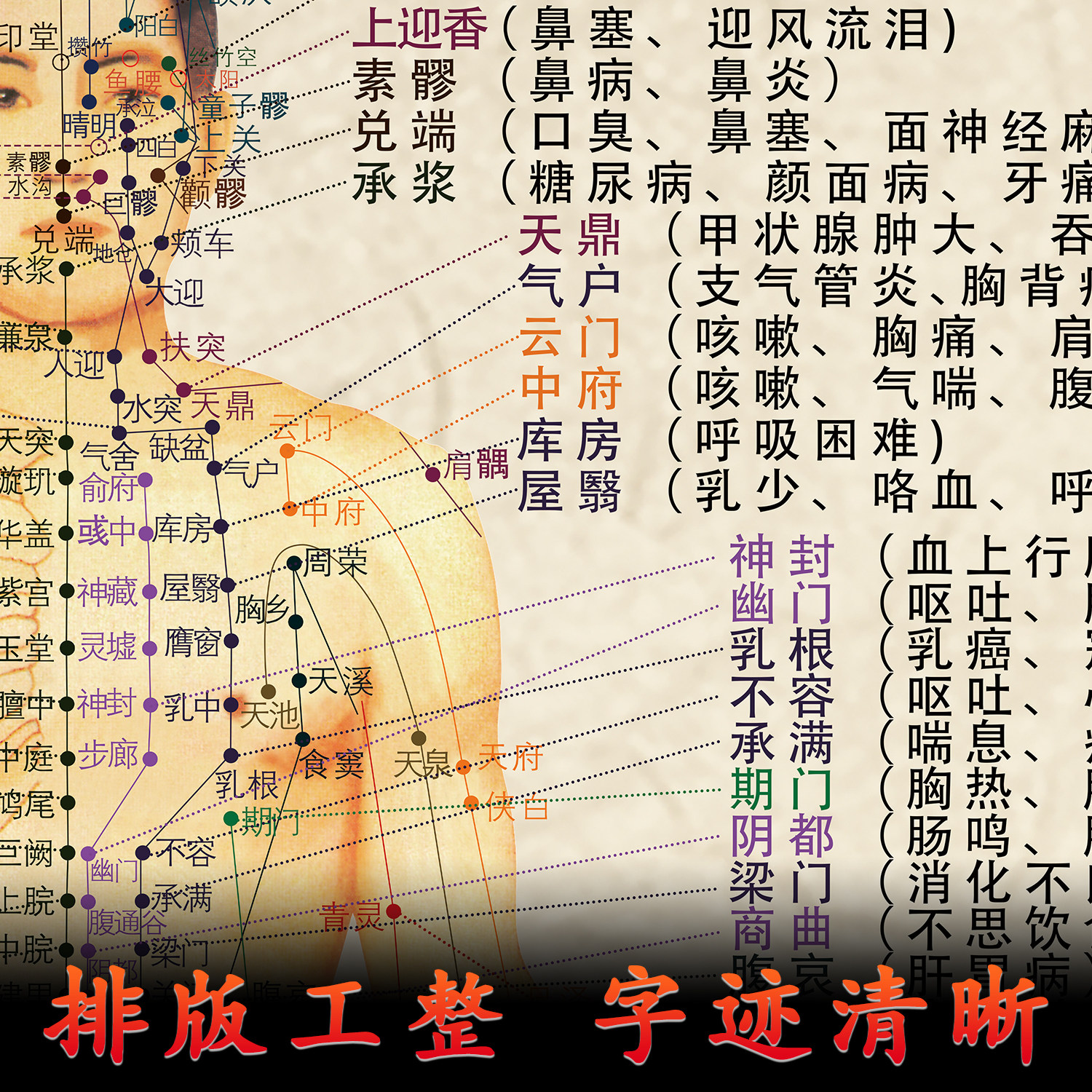 中医养生海报病症对照图墙面贴画墙上十二经络针灸穴位中医挂图