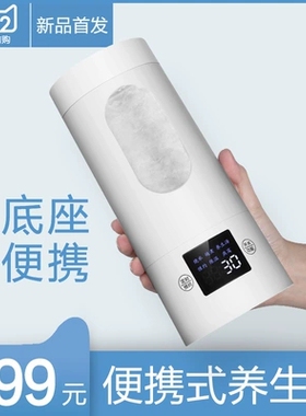迷你小容量燕窝花茶电热养生壶