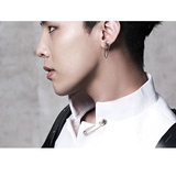 Аксессуар, ретро булавка, брендовая брошь, серьги подходит для мужчин и женщин, серебро 925 пробы