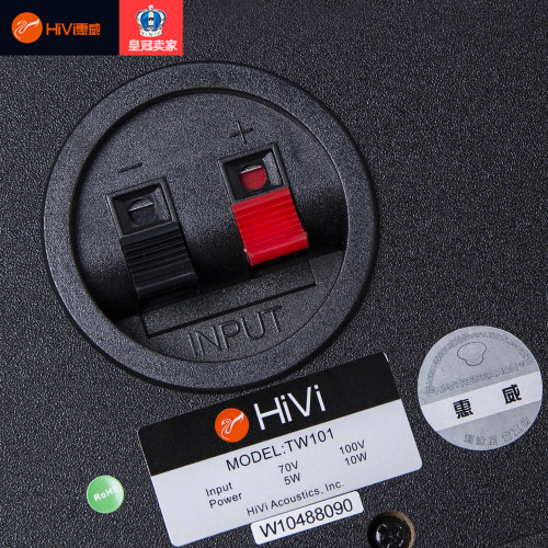 Hivi/惠威 TW101 10W木质壁挂音箱公共广播系统喇叭 教室挂壁音响 - 图1