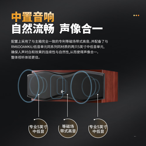 Hivi/惠威 RM600AMKII家庭影院音响套装5.1落地音箱家用客厅环绕 - 图2
