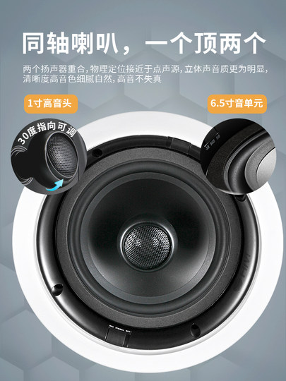 Hivi/惠威 VX6-C吸顶喇叭背景音乐同轴音箱会议天花吊顶音响套装5