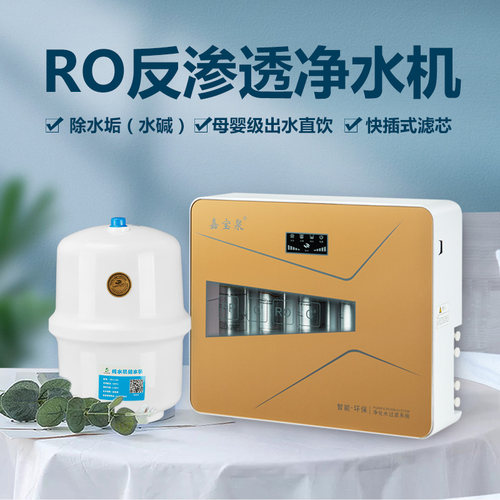 反渗透净水机家用直饮有桶自来水ro纯水机除垢除味井水微自吸智能 - 图2