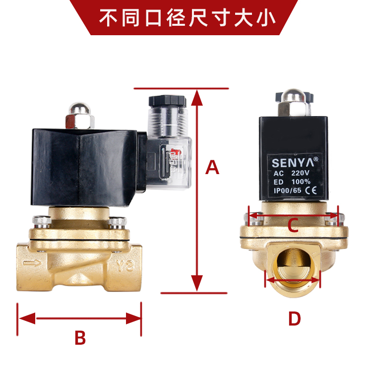 室外防水防雾防潮电磁阀水阀开关阀220VDC24V气阀排水DC12V4分6分-图1