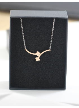 项链轻奢小众女生2024新款爆款配饰气质百搭小众精致锁骨链颈链潮