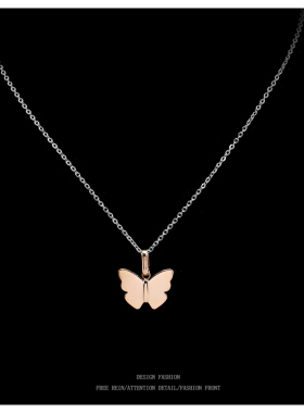 韩国立体蝴蝶项链女ins简约高级感轻奢配饰小众设计感百搭锁骨链