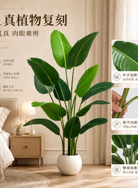 仿真绿植天堂鸟高端轻奢客厅大型仿生花室内盆栽摆件装饰树假植物