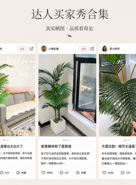 仿真散尾葵绿植高端轻奢室内落地盆栽客厅装饰摆件仿生植物假绿植