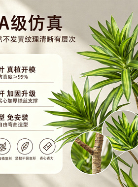 仿真绿植百合竹免打理装饰假植物