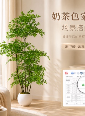 大叶南天竹仿真植物室内装饰花木