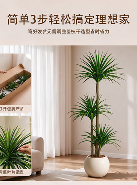 仿真绿植假龙血树高端轻奢大盆栽