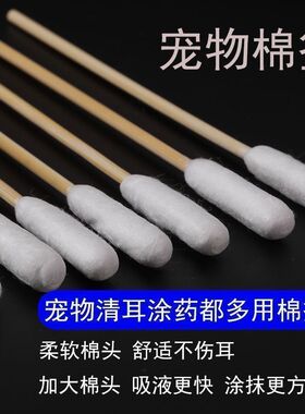 宠物棉签大头单头耳朵清洁猫咪狗狗粗长杆一次性清理棉棒