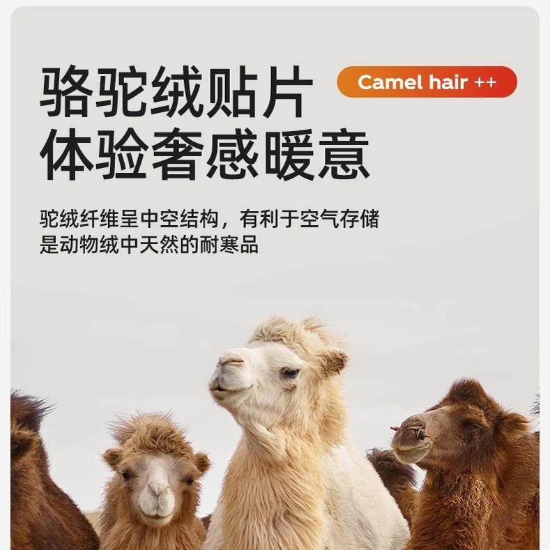 兄华加绒加厚高腰保暖裤98769大贴片加绒男士驼绒保暖裤秋裤棉裤