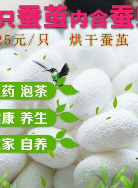 天然完整蚕茧桑蚕茧彩绘