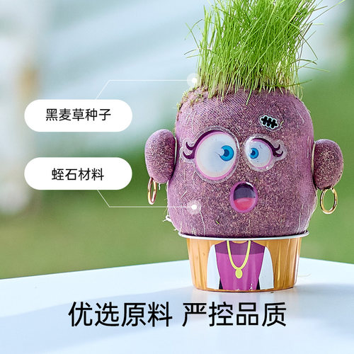 Hape植物伙伴草头娃娃桌面浇水头上长草小盆栽儿童过家家玩具3岁+ - 图3